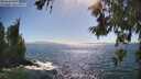 ./images/koeye/fitz-hugh/20260618/fitz-hugh20260618_165001M.jpg