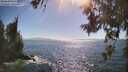 ./images/koeye/fitz-hugh/20260618/fitz-hugh20260618_165501M.jpg