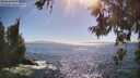 ./images/koeye/fitz-hugh/20260618/fitz-hugh20260618_170001M.jpg