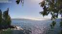 ./images/koeye/fitz-hugh/20260618/fitz-hugh20260618_171001M.jpg