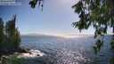 ./images/koeye/fitz-hugh/20260618/fitz-hugh20260618_171501M.jpg