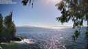 ./images/koeye/fitz-hugh/20260618/fitz-hugh20260618_172002M.jpg