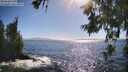 ./images/koeye/fitz-hugh/20260618/fitz-hugh20260618_172501M.jpg
