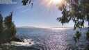 ./images/koeye/fitz-hugh/20260618/fitz-hugh20260618_173002M.jpg