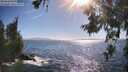 ./images/koeye/fitz-hugh/20260618/fitz-hugh20260618_173501M.jpg