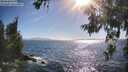 ./images/koeye/fitz-hugh/20260618/fitz-hugh20260618_174502M.jpg