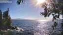 ./images/koeye/fitz-hugh/20260618/fitz-hugh20260618_175002M.jpg