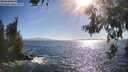 ./images/koeye/fitz-hugh/20260618/fitz-hugh20260618_175501M.jpg