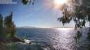 ./images/koeye/fitz-hugh/20260618/fitz-hugh20260618_180501M.jpg