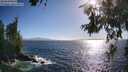 ./images/koeye/fitz-hugh/20260618/fitz-hugh20260618_182001M.jpg