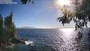 ./images/koeye/fitz-hugh/20260618/fitz-hugh20260618_182501M.jpg