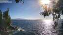 ./images/koeye/fitz-hugh/20260618/fitz-hugh20260618_183001M.jpg