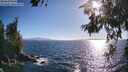./images/koeye/fitz-hugh/20260618/fitz-hugh20260618_183501M.jpg