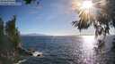 ./images/koeye/fitz-hugh/20260618/fitz-hugh20260618_184001M.jpg