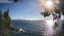 ./images/koeye/fitz-hugh/20260618/fitz-hugh20260618_184501M.jpg
