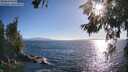 ./images/koeye/fitz-hugh/20260618/fitz-hugh20260618_185001M.jpg