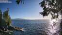 ./images/koeye/fitz-hugh/20260618/fitz-hugh20260618_192501M.jpg