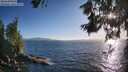./images/koeye/fitz-hugh/20260618/fitz-hugh20260618_193501M.jpg