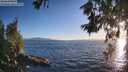 ./images/koeye/fitz-hugh/20260618/fitz-hugh20260618_202002M.jpg