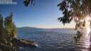 ./images/koeye/fitz-hugh/20260618/fitz-hugh20260618_203501M.jpg