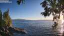 ./images/koeye/fitz-hugh/20260618/fitz-hugh20260618_204001M.jpg