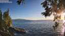 ./images/koeye/fitz-hugh/20260618/fitz-hugh20260618_204501M.jpg