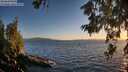 ./images/koeye/fitz-hugh/20260618/fitz-hugh20260618_210501M.jpg