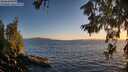 ./images/koeye/fitz-hugh/20260618/fitz-hugh20260618_211001M.jpg
