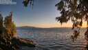 ./images/koeye/fitz-hugh/20260618/fitz-hugh20260618_212501M.jpg