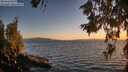 ./images/koeye/fitz-hugh/20260618/fitz-hugh20260618_213001M.jpg