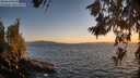 ./images/koeye/fitz-hugh/20260618/fitz-hugh20260618_213501M.jpg