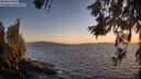 ./images/koeye/fitz-hugh/20260618/fitz-hugh20260618_214001M.jpg