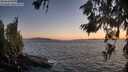 ./images/koeye/fitz-hugh/20260618/fitz-hugh20260618_215001M.jpg
