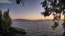 ./images/koeye/fitz-hugh/20260618/fitz-hugh20260618_215501M.jpg