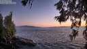 ./images/koeye/fitz-hugh/20260618/fitz-hugh20260618_221002M.jpg