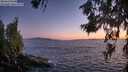 ./images/koeye/fitz-hugh/20260618/fitz-hugh20260618_221501M.jpg