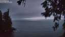 ./images/koeye/fitz-hugh/20260619/fitz-hugh20260619_043001M.jpg