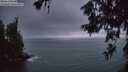 ./images/koeye/fitz-hugh/20260619/fitz-hugh20260619_043501M.jpg