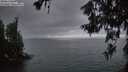 ./images/koeye/fitz-hugh/20260619/fitz-hugh20260619_044002M.jpg