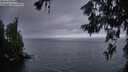 ./images/koeye/fitz-hugh/20260619/fitz-hugh20260619_044501M.jpg