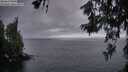 ./images/koeye/fitz-hugh/20260619/fitz-hugh20260619_045001M.jpg
