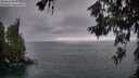 ./images/koeye/fitz-hugh/20260619/fitz-hugh20260619_050001M.jpg