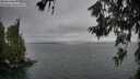 ./images/koeye/fitz-hugh/20260619/fitz-hugh20260619_052001M.jpg