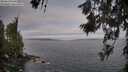./images/koeye/fitz-hugh/20260619/fitz-hugh20260619_062501M.jpg