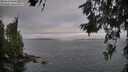 ./images/koeye/fitz-hugh/20260619/fitz-hugh20260619_064001M.jpg