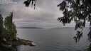 ./images/koeye/fitz-hugh/20260619/fitz-hugh20260619_071502M.jpg