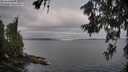 ./images/koeye/fitz-hugh/20260619/fitz-hugh20260619_072002M.jpg
