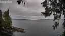 ./images/koeye/fitz-hugh/20260619/fitz-hugh20260619_073002M.jpg