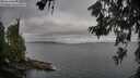 ./images/koeye/fitz-hugh/20260619/fitz-hugh20260619_074001M.jpg