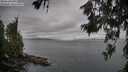 ./images/koeye/fitz-hugh/20260619/fitz-hugh20260619_074501M.jpg